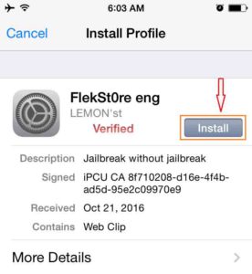 click-install-flekstore-iphone-ipad-ipod