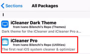 Download-iCleaner-Pro