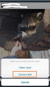 Tap-Camera-Roll-to-Download-Tumblr-Video
