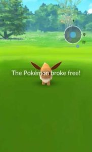 The Pokemon Broke Free