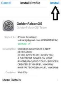 Install-GoldenFalconOS-iOS